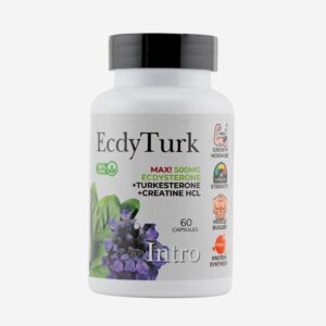 Ecdyturk